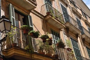 Balconies with plants