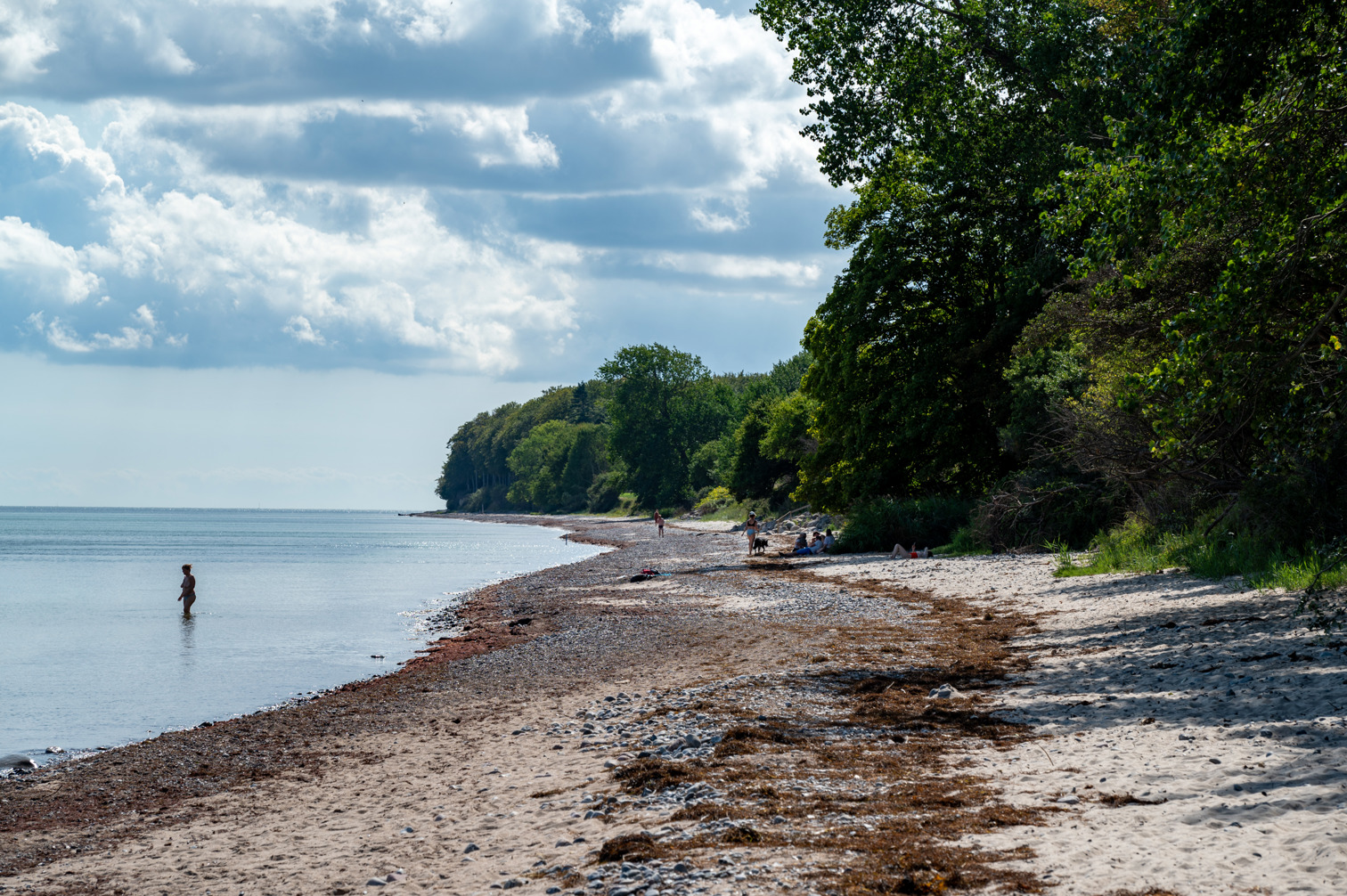 Beach on the island of Møn