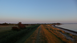 Late evening bike tour in the south of Fehmarn.
Narrow bike lane on the dike.