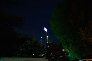 Flaring of gases at a chemical plant at night 