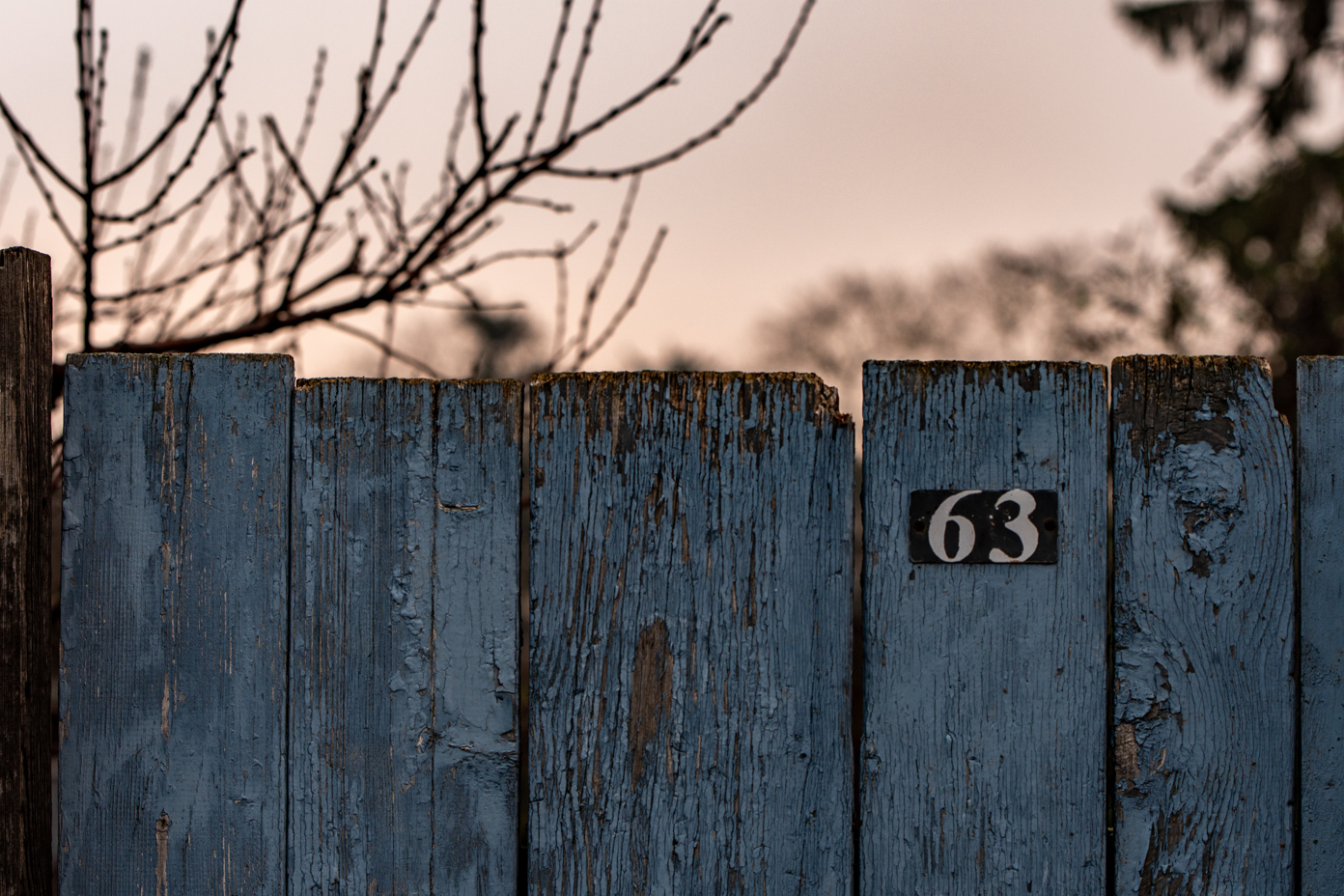 Board fence 63