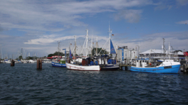 Burg auf Fehmarn - Harbour from boat