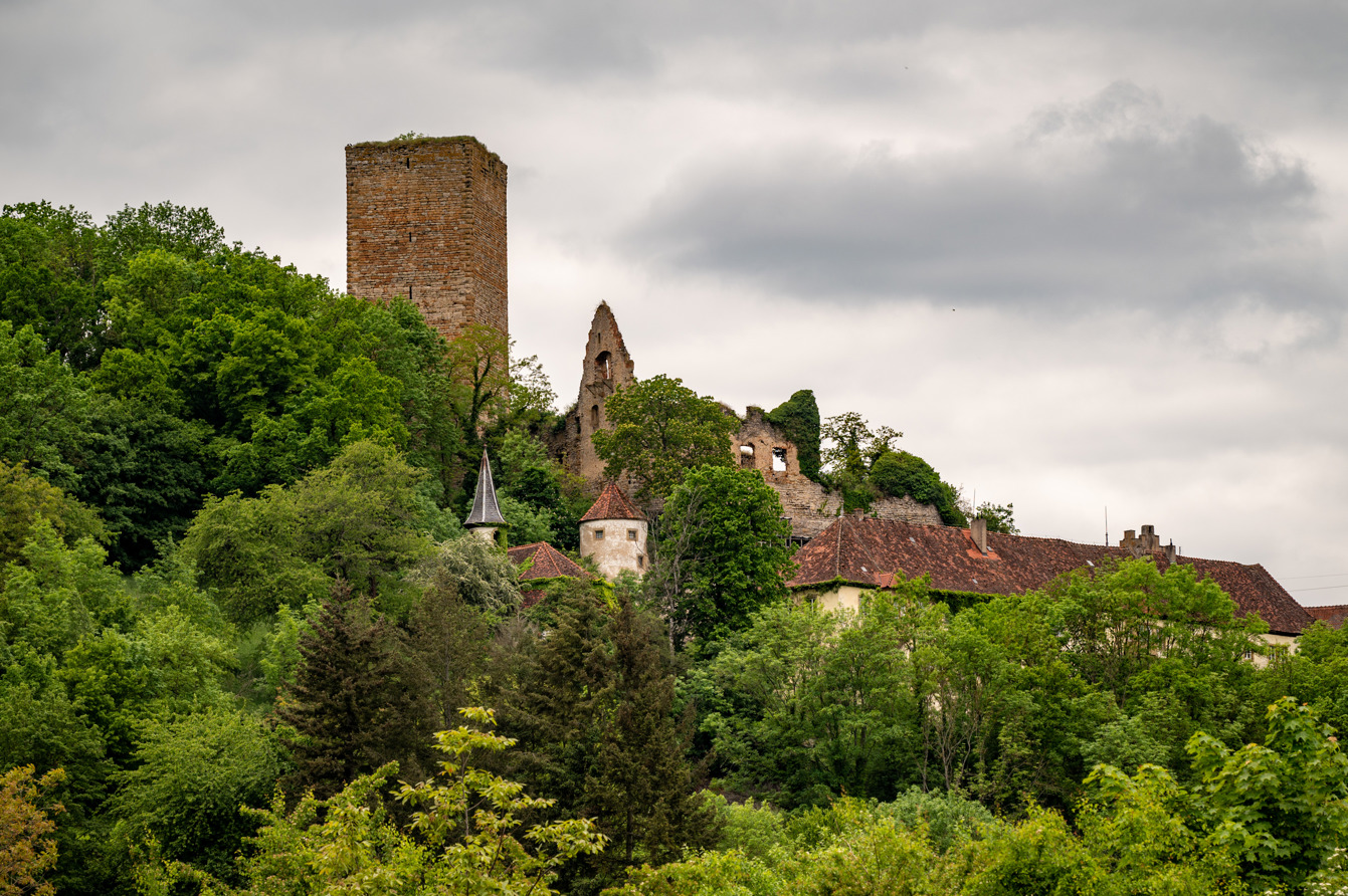 Burg Ehrenberg Heinsheim