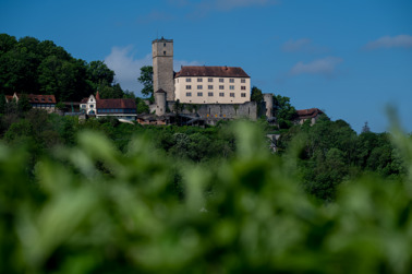 Burg Guttenberg