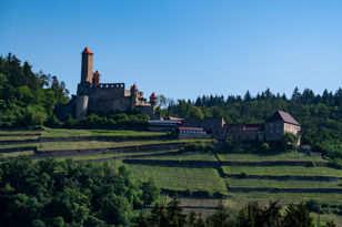 Burg Hornberg - Neckarzimmern