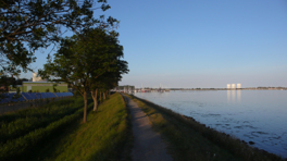 The harbor and the "Fernblickhäuser" (distant view houses)
Late evening bike tour in the south of Fehmarn.
The pedestrian and bicycle path is excellent. The light mood is perfect.