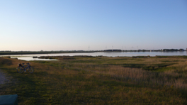 Late evening bike tour in the south of Fehmarn.
Wind turbines in the background. Sea grass in the foreground