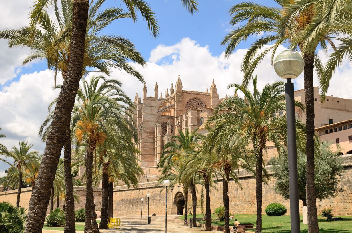 Catedral behind palms