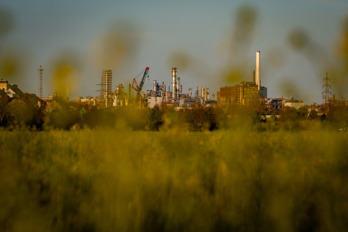 Rape field in sunset in front of chemical factory