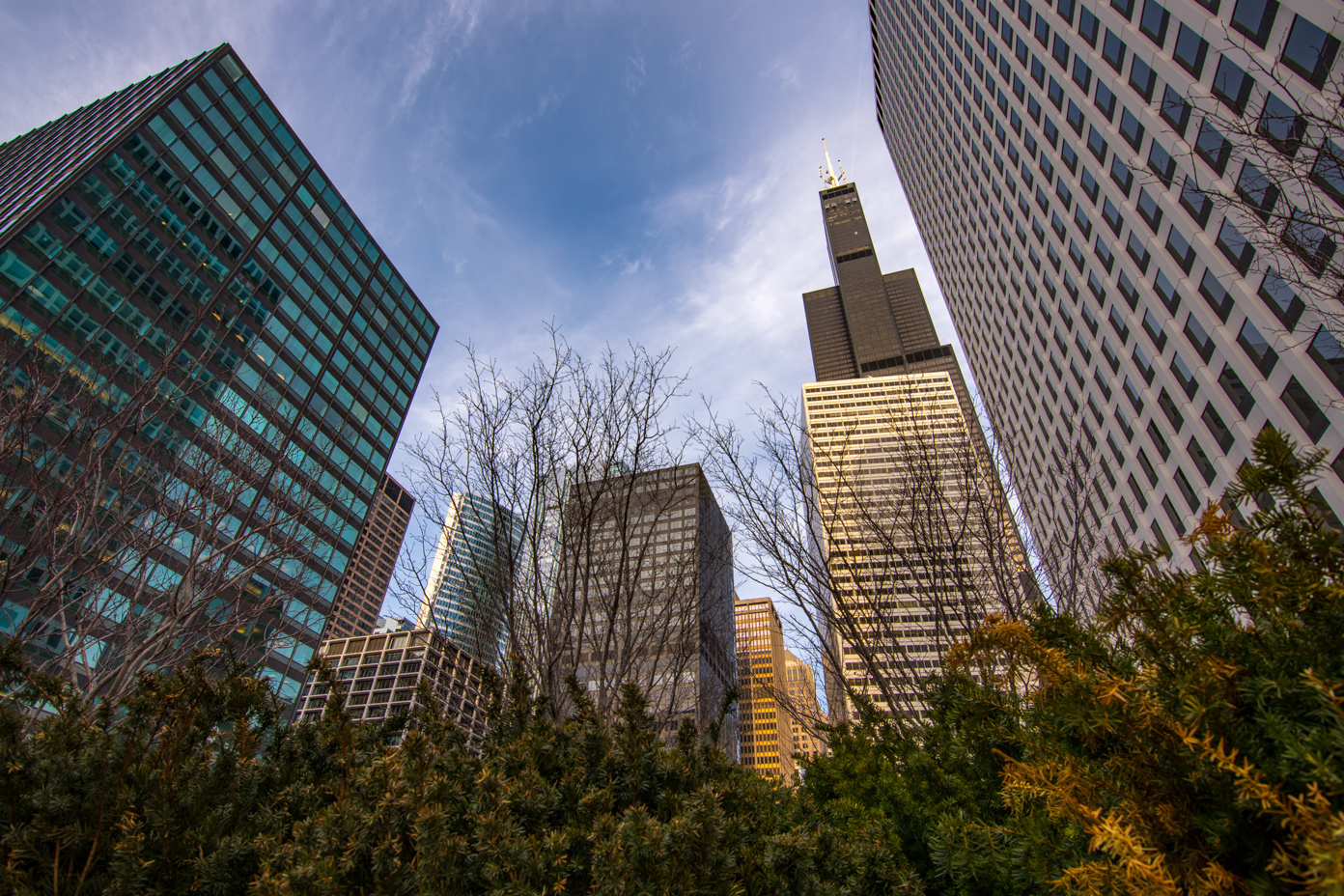Chicago Skyline - Willis Tower