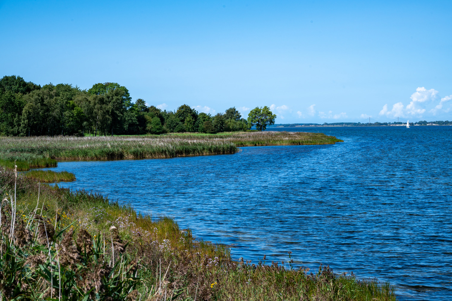 Fanefjord-Grønsund Wildlife Reserve (Vildtreservat)