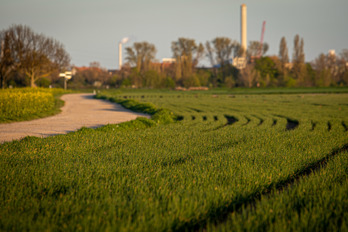 Curves in the field