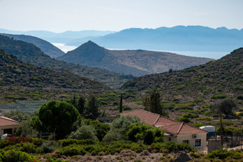 On the road from Pachia Rachi to the east across the island of Aegina. 