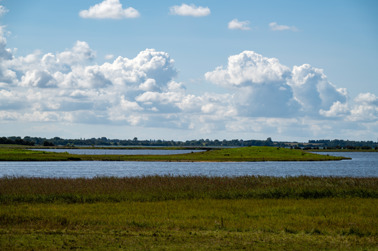 Fanefjord is an approximately 2 kilometer long fjord on the west side of Møn, near Grønsund. The shallow fjord is surrounded by salt marshes and pastures.  