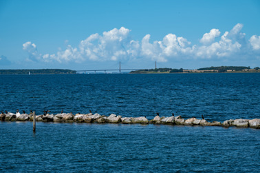 View from Stubbekøbing Havn to the northwest towards the Farøbroerne Bridge on the European route 47 (E47). 