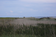 Fehmarn Sound bridge from Flügger Strand (Beach)