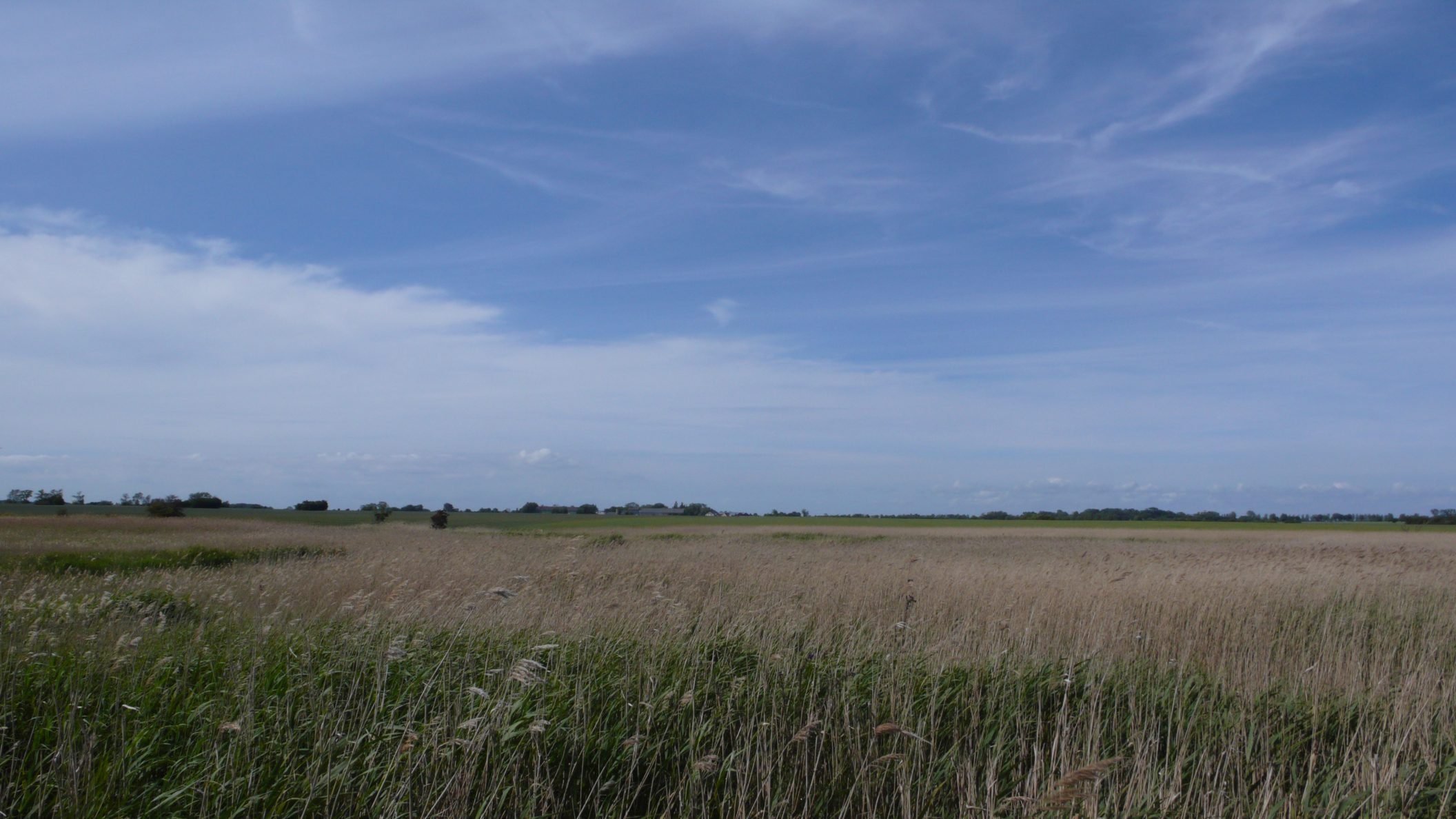 Fields and blue sky