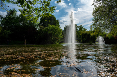 Lake in Indelfingen Schlosspark with fountains 