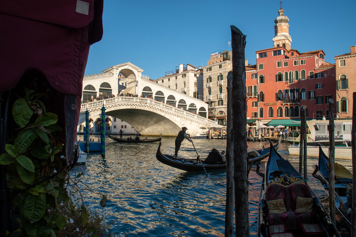 Gondolas at Rialto Bridge, Venice