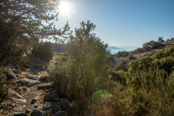 The hiking trail from Pachia Rachi to the valley of Eleonas, a high mountain valley with old olive trees. In the background is the Saronic Gulf to the west of Aegina.