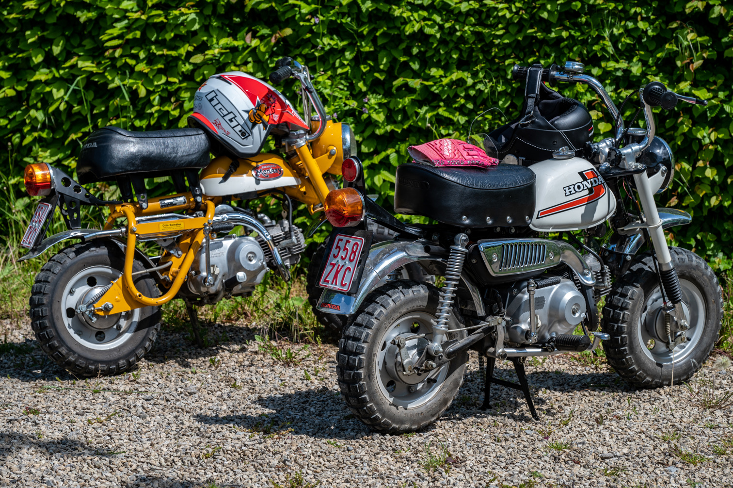 Honda Monkey - Mini Bikes