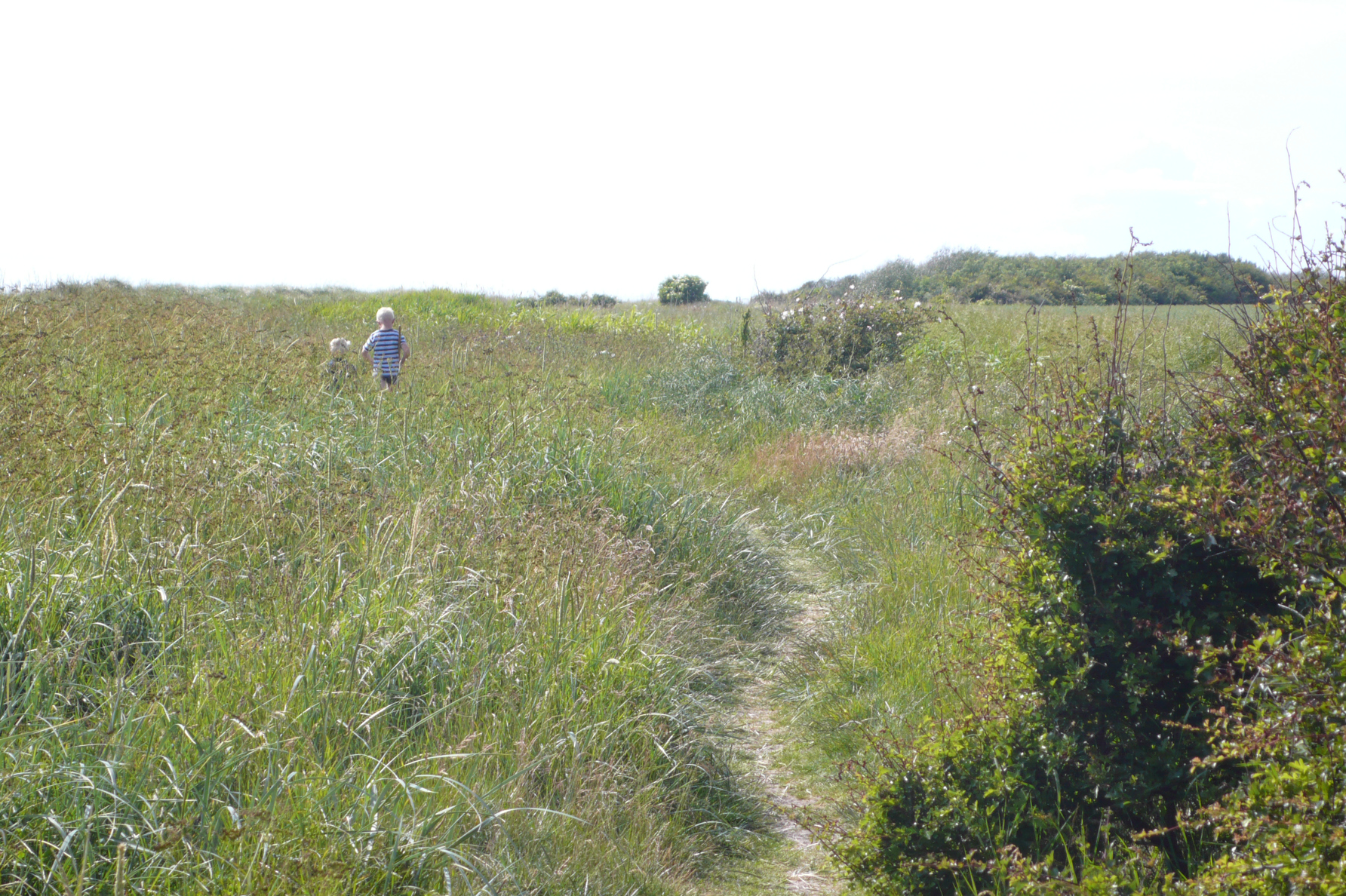 In the fields by the Flügger lighthouse