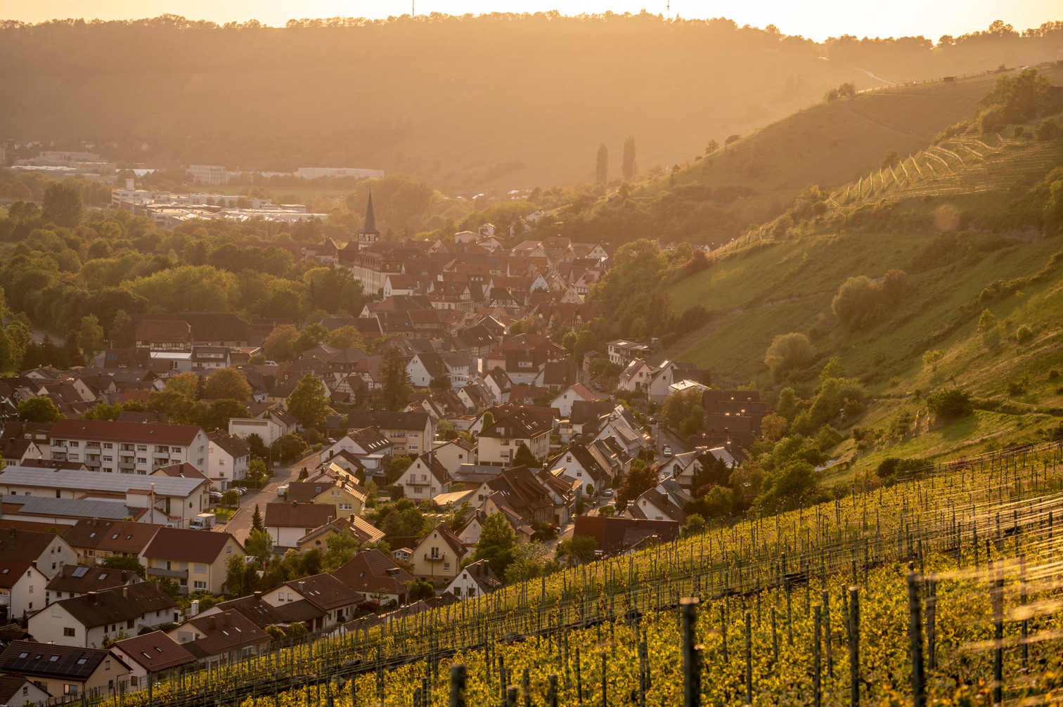 Ingelfingen from above at sunset