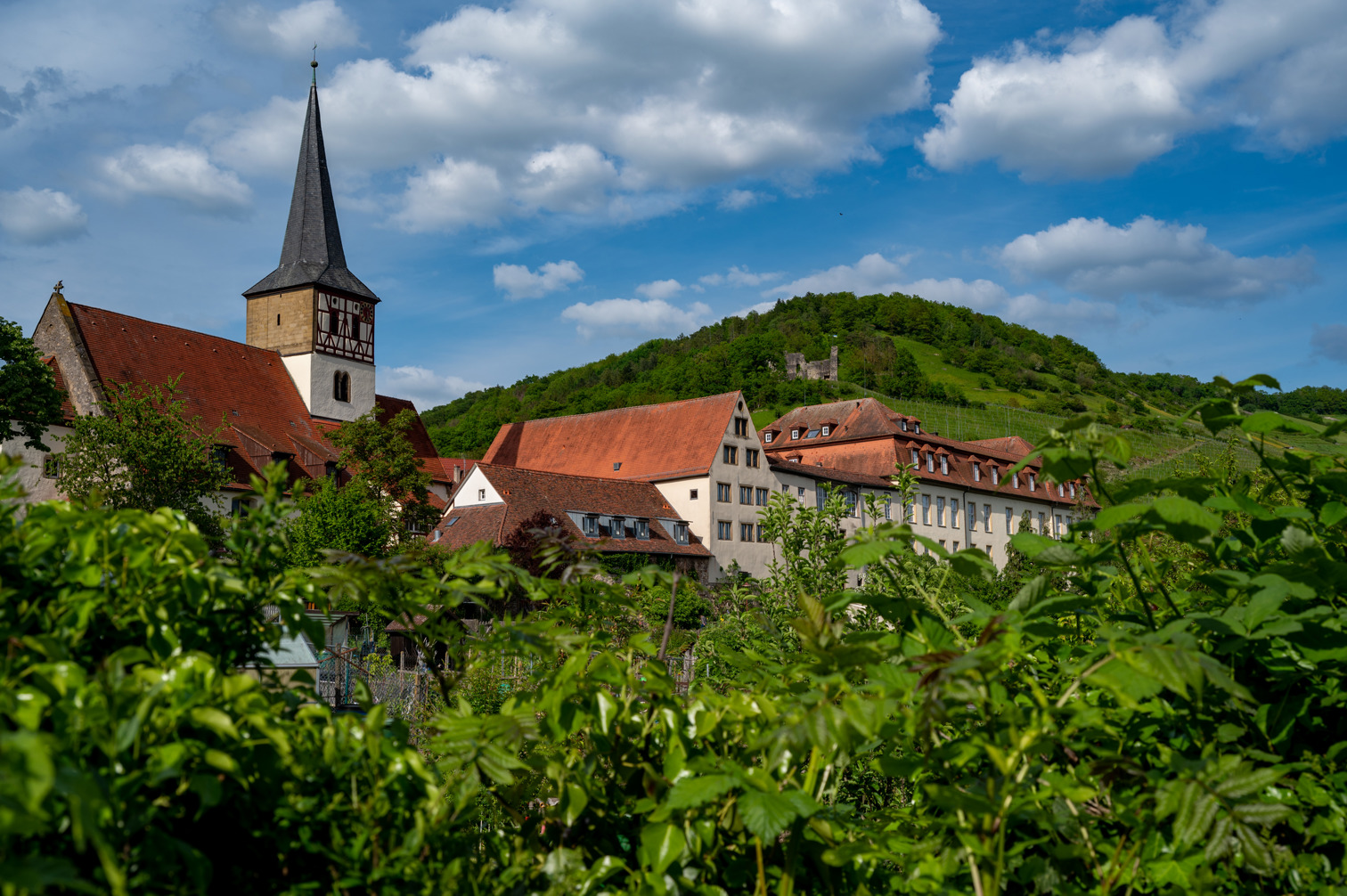 Ingelfingen from the gardens in the Kocher valley. Nikolauskirche, Schwarzer Hof and Neues Schloss. In the background the ruins of Lichtenfels above the vineyards.