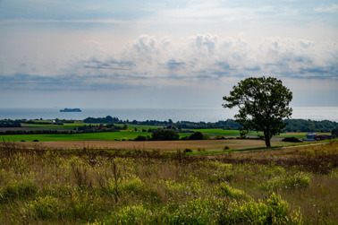 Landscape on Møn island