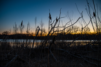 Mallard Lake Forest Preserve in Hanover Park
DuPage County, Illinois, USA