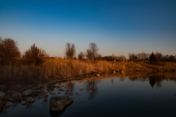 Mallard Lake Forest Preserve in Hanover Park
DuPage County, Illinois, USA