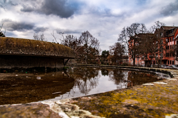 Old fountain overgrown with moss reflects clouds, trees and houses.