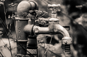 Old garden water faucet