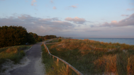 Footpath made of wood perfect for walking barefoot. Small paths through the sea grass to the beach. 