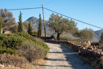 A dirt road near Pachia Rachi on the island of Aegina. Mount Hellanion Oros in the background.