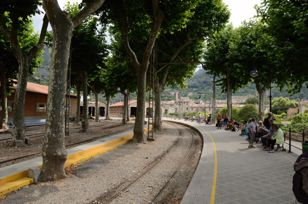 Shady platform under trees with benches