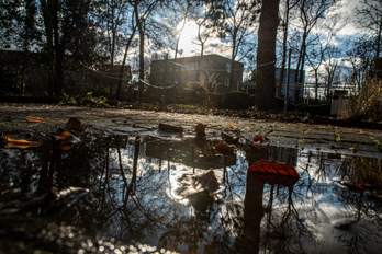 A puddle on the side of the road reflects the sun houses and trees