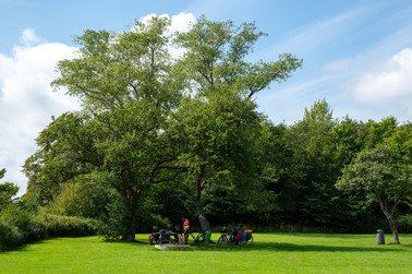 Rest area at Mosede Fort in Greve