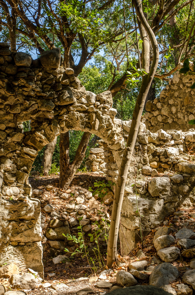 Ruins of Olympos (Lycia)