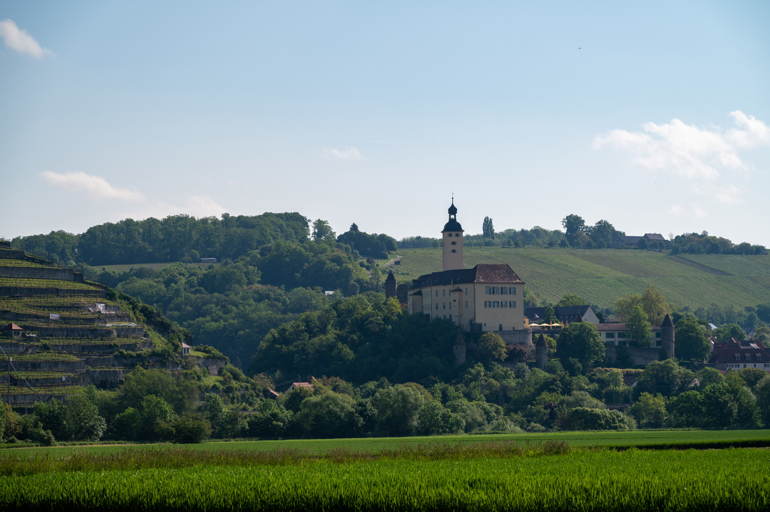 Schloss Horneck