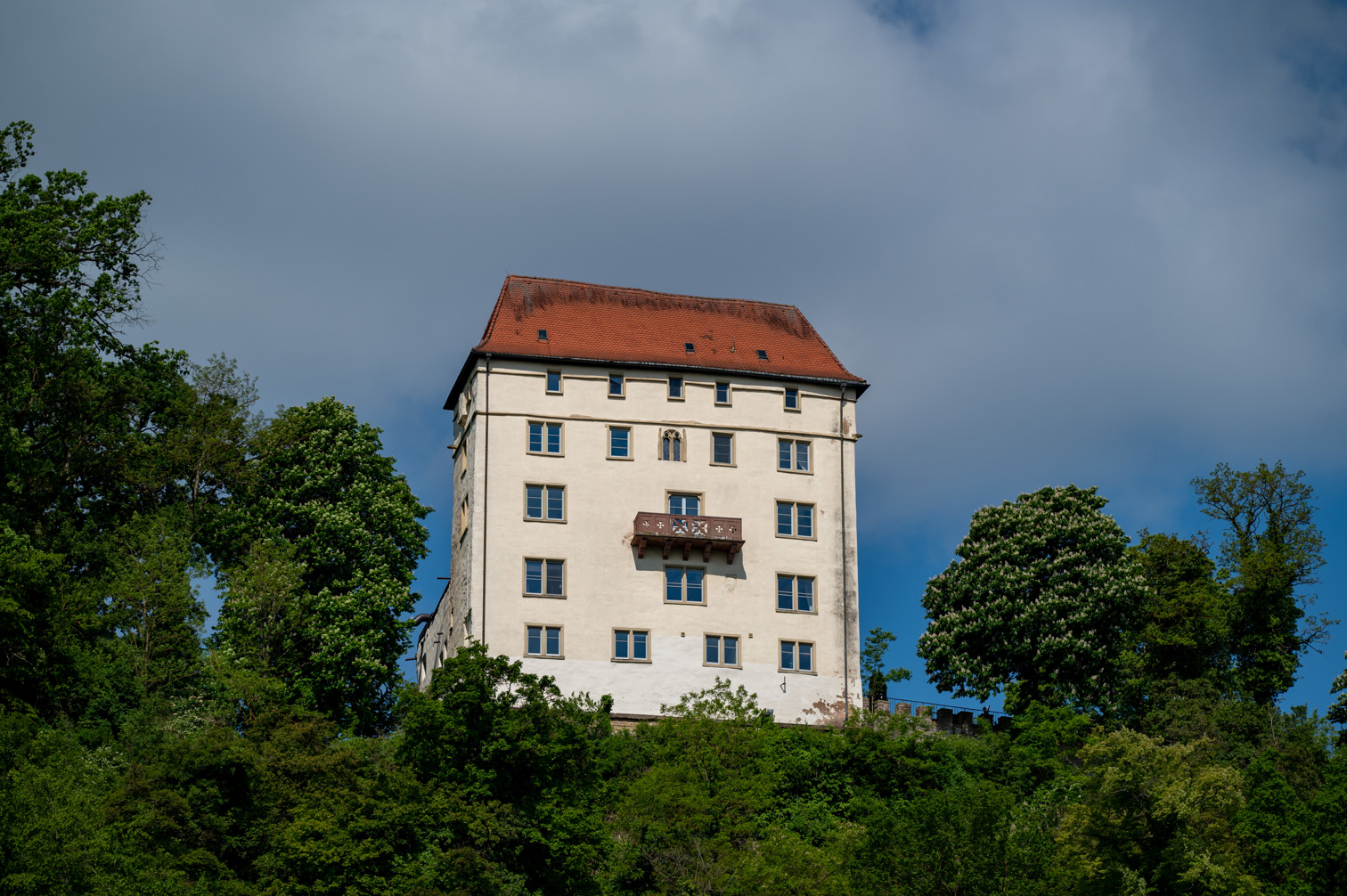 Schloss Neuburg - Obrigheim