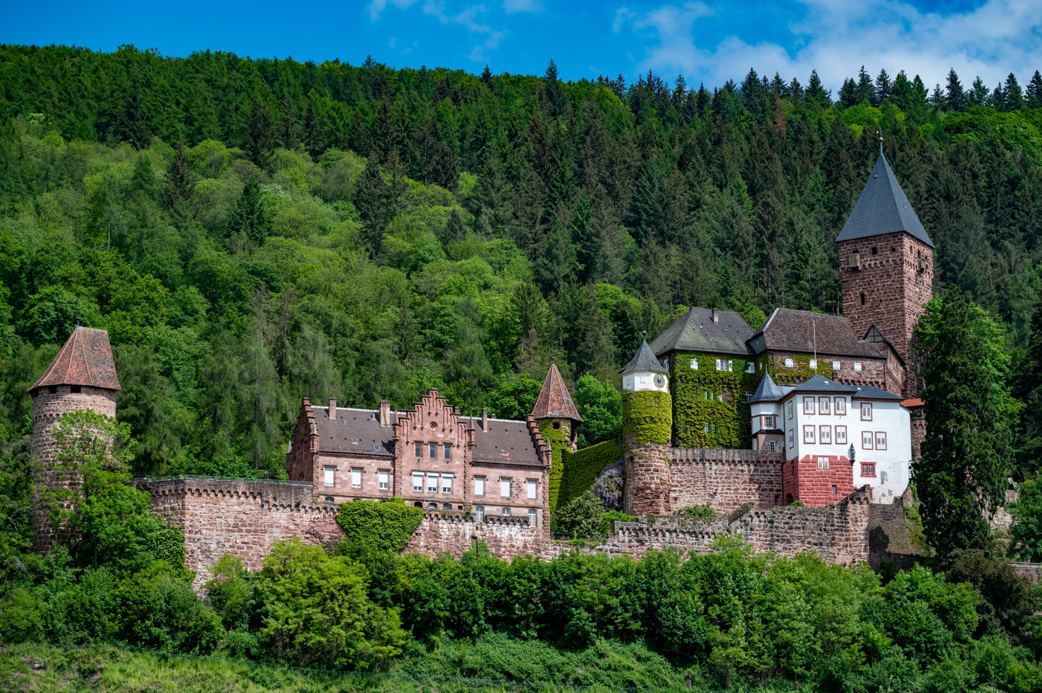 Schloss Zwingenberg (Zwingenberg Castle) is also known as Zwingenburg. It towers in the forest above the Neckar.