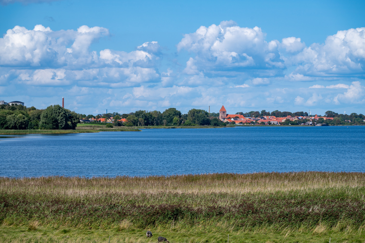 Stege Nor is a lake on the Danish island of Møn that is connected to the sea by a canal near the town of Stege.