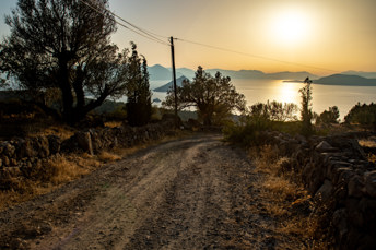 View from the dirt road from Marathonas beach to Pachia Rachi in east direction to the beach of Marathonas on the island of Aegina. In the background the Saronic Gulf with the islands of Moni and Agistri.