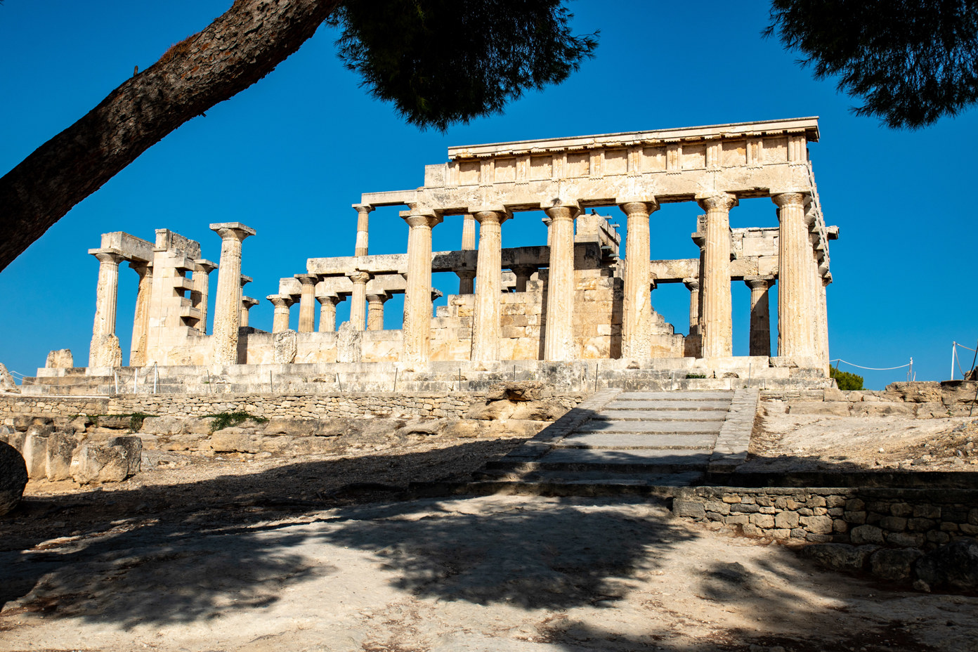 Southern view of the Temple of Aphaia with a pine tree in the foreground. In the centre is the entrance ramp over the southern terrace wall.