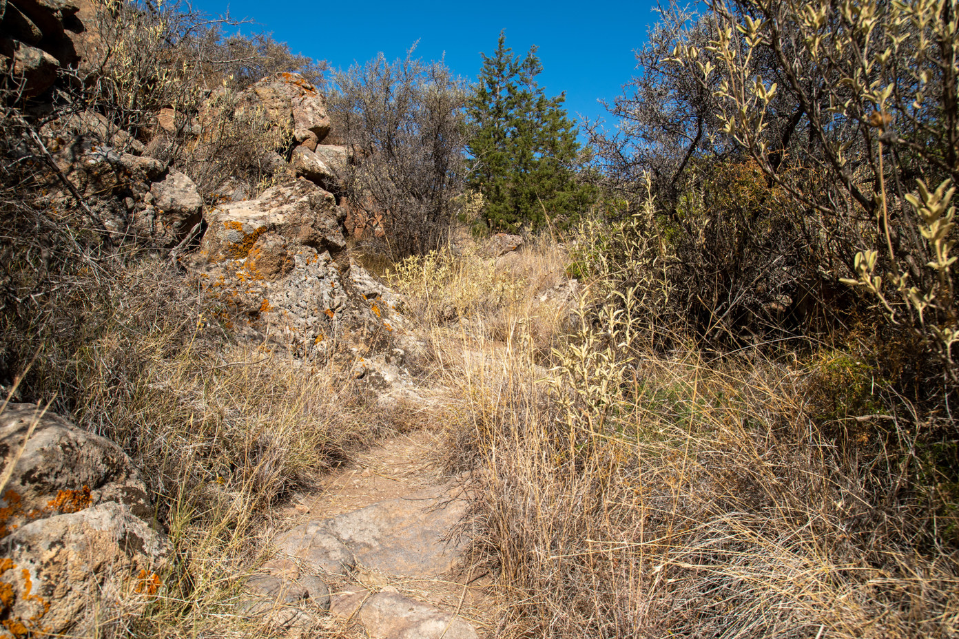 Trail from Eleonas Valley to Pachia Rachi