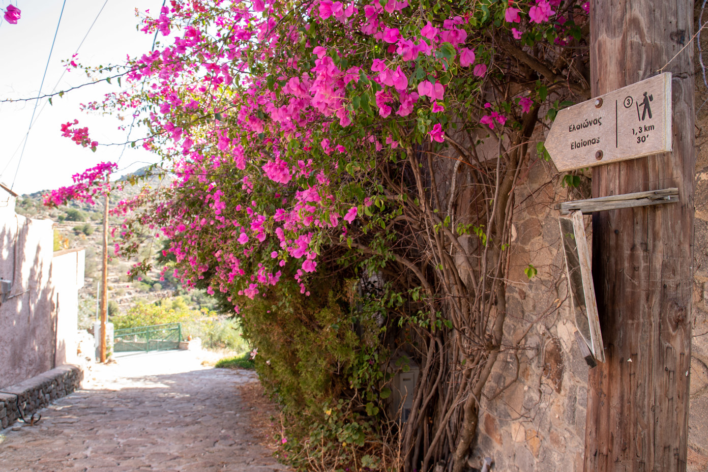 Trail sign in Pachia Rachi