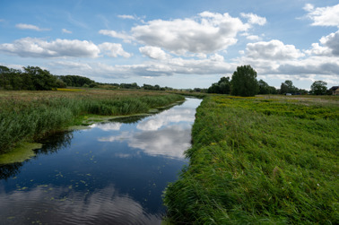 The Tryggevælde Å is an approx. 35 km long river in Denmark. It begins at Dalby and flows into Køge Bay at Strøby Egede in southeast Zealand, south of Køge. The river is considered the northern border between the Stevns peninsula and the rest of Zealand.