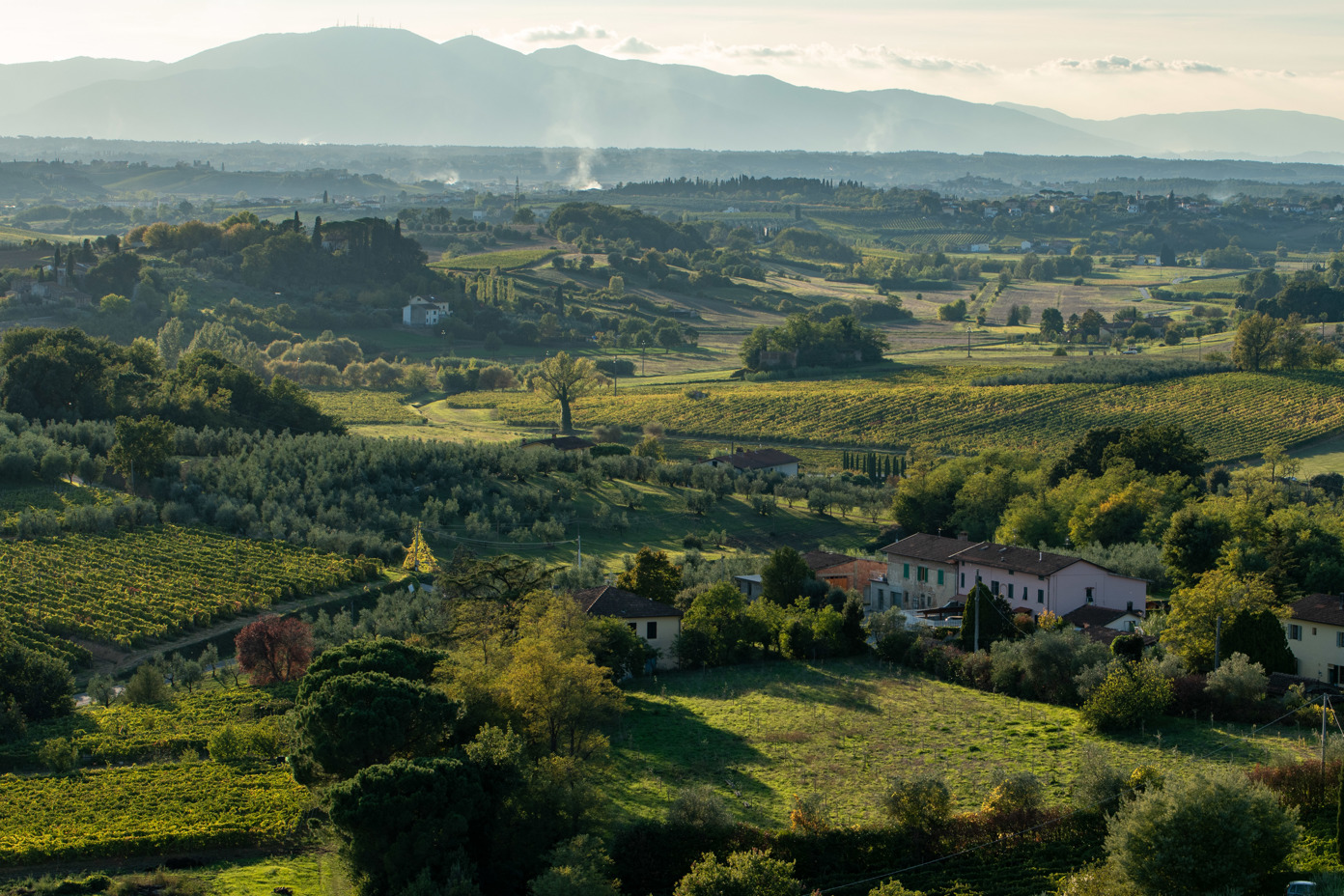 Tuscan countryside near Vinci