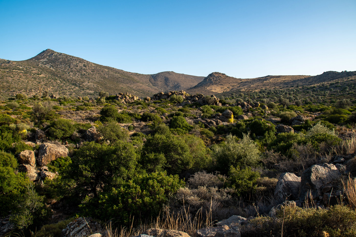 Valley of Eleonas and Mount Hellanion Oros